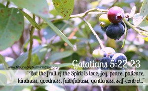 Fruit of the Spirit