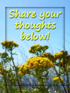 share thoughts below