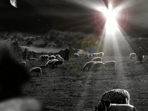 angel and shepherds