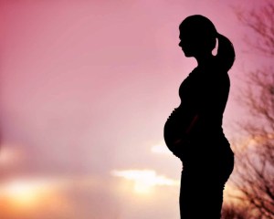 fe8ecf3153fbe6b337d1c233dd8f3869