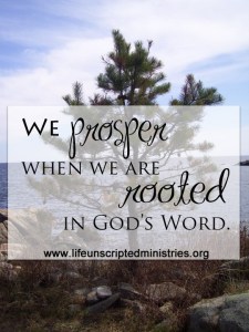 prosper when rooted in God's Word